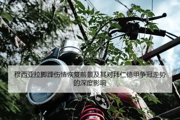 穆西亚拉脚踝伤情恢复前景及其对拜仁德甲争冠走势的深度影响